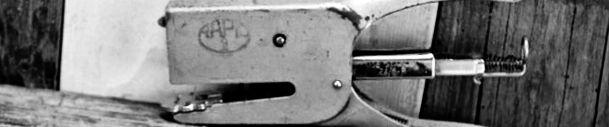 Rapid Brand History header